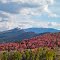 Ridgeline of the Fish Creek Range, humping to the south