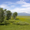 Sawtelle Peak and Meadow