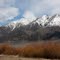 Black Mountain and Willows, Early spring