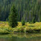 Targhee Creek, late summer. Henry's Lake Mountains