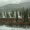 Near Targhee Pass. Dec. 2, 2007.  Stormy