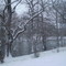 Snowing On Newport Lake 03/03/2008