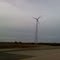 Newport Windmill