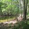 Prairie Creek