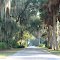 canopy road, Seminole Ridge Road (9-13-2011)