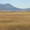 Crescent Valley