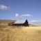 Old Cabin on a Hill