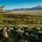 Sawtooth Valley  view to the south