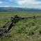 Sawtooth Mtns. and the Sawtooth Valley from the Valley Road