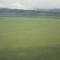 Out in the field