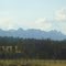 View North from Sawtooth City.
