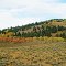 Fall Color in the Sawtooth Mountains