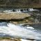 Steinhatchee Falls