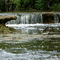 Steinhatchee Falls