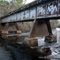 Abandoned railroad trestle on the Steinhatchee River