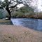 Steinhatchee Falls