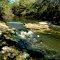 Steinhatchee Falls