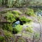 karst window & natural bridge, Steinhatchee River, Tenille, Dixie Co, Fla (3-2008)