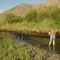 Fly fishing Antelope creek