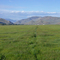 Small valley in Antelope Cr. near Grouse, Idaho