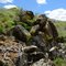 Lichens in the Champagne Creek Area
