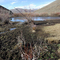Beaver Pond - Leadbelt Creek
