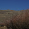 Remnant Livestock over Tributary of Leadbelt Creek