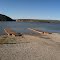 Boat Docks Hot Springs Landing