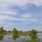Весна. Пойма реки Здвиж / Spring. Floodplain Zdvizh