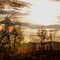 end of the frosty day