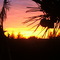 wellington sunset