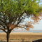 Озеро Донузлав; Donuzlav lake