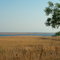 Озеро Донузлав; Donuzlav lake