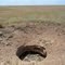 covered with well