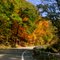 Fall at the nature center/Herbst im Naturpark