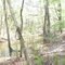 Altamaha Canoe Trip First Night