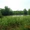 Between Tulcea and Chilia Veche, Danube Delta