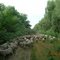 Between Tulcea and Chilia Veche, Danube Delta