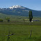 Mt. Harrison near Albion, Idaho