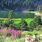 Lake Cleveland Idaho