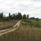 Лесная дорога