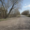 Богуславець (Пальмирська)