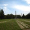 Зарастающий памятник.