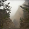 Туманный Таракташ 4 - Taraktash path in fog 4