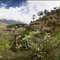 Природа в горах у Ялты - Mountain nature near Yalta