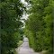 Дорога 23.06.2012