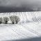 The Carpathian Mountains 1