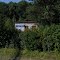 ►Станция Хлопчицы