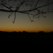 country