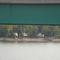Houses on Stilts